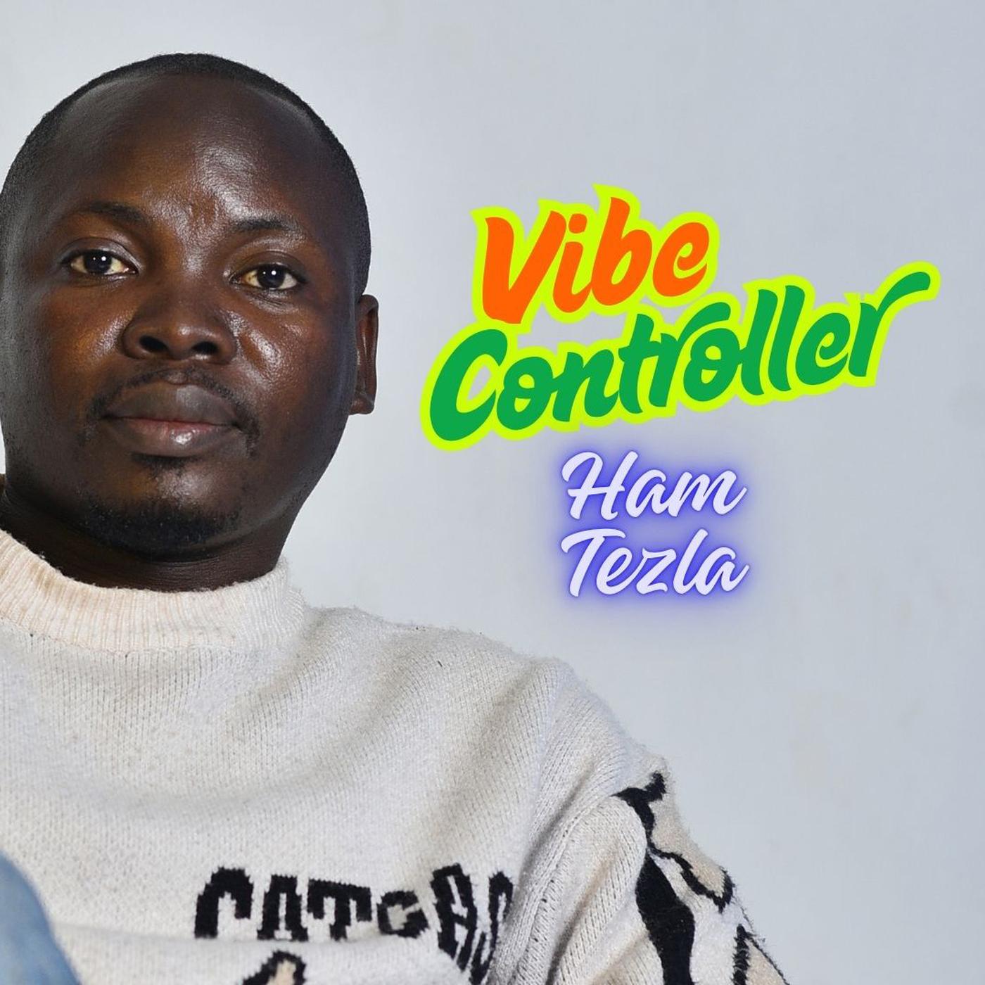 Vibe Controller cover 1400x1400